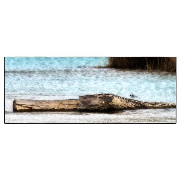 PHOTO84, CLUB, 84 , LUBERON